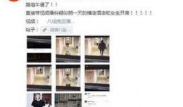 最新黑料爆料事件大全,事件大全深度剖析