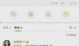 最新爆料彭小冉视频,揭秘背后惊人真相！