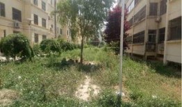 库尔勒小区爆料最新,揭秘神秘事件背后的真相