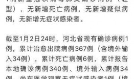 河北爆料最新消息新闻,聚焦重大新闻事件追踪