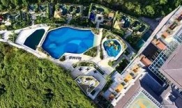 广州网红最新事件爆料新闻,揭秘幕后真相，风波再起！