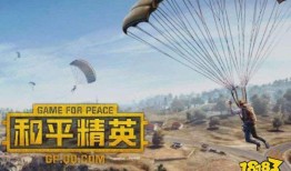 和平精英最新僚机爆料,全新玩法与神秘武器即将上线