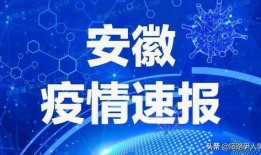 安徽本地爆料事件最新进展,真相逐步浮出水面