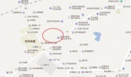 柳州热点爆料最新消息,惊现神秘事件，真相令人震惊！