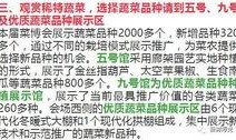 寿光最新爆料消息公布,揭秘事件背后惊人真相