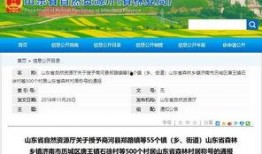 寿光最新爆料消息公布,揭秘事件背后惊人真相