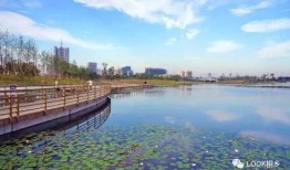 桐乡凤凰湖爆料最新消息,揭秘湖畔神秘事件！