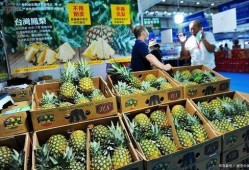 凤梨爆料视频大全最新版,最新版精彩内容大盘点