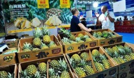 凤梨爆料视频大全最新版,最新版精彩内容大盘点