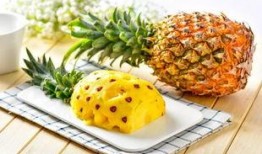 凤梨爆料视频大全最新版,最新版精彩内容大盘点