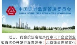 创业板最新爆料,揭秘企业创新与市场动态