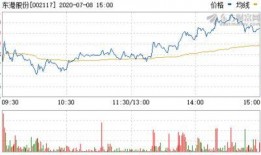 东港股份最新爆料信息网,揭秘公司重大动态与未来战略布局
