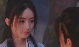 谢允最新爆料视频大全集,揭秘幕后真相，带你走进事件核心