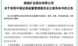 国城矿业最新爆料消息,揭秘企业转型与市场布局新动向