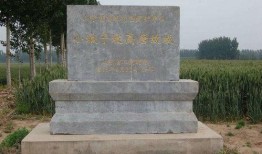 广西横店三子爆料视频最新,揭秘娱乐圈幕后真相！”