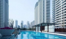 桐乡凤凰湖爆料最新消息,揭秘湖畔神秘事件！