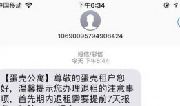 蛋壳最新活动内容爆料,揭秘最新活动福利大放送！”