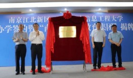 鼎丰集团爆料最新消息,揭秘重大商业动态与战略布局