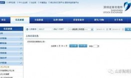 东港股份最新爆料信息网,揭秘公司重大动态与未来战略布局