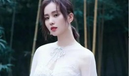 刘诗诗娱乐爆料最新消息,最新动态揭秘，精彩瞬间引关注