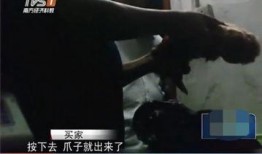 屠宰最新爆料消息视频,屠宰场内幕视频曝光，震撼揭秘行业黑幕