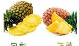 凤梨爆料视频大全最新版,最新版精彩内容大盘点